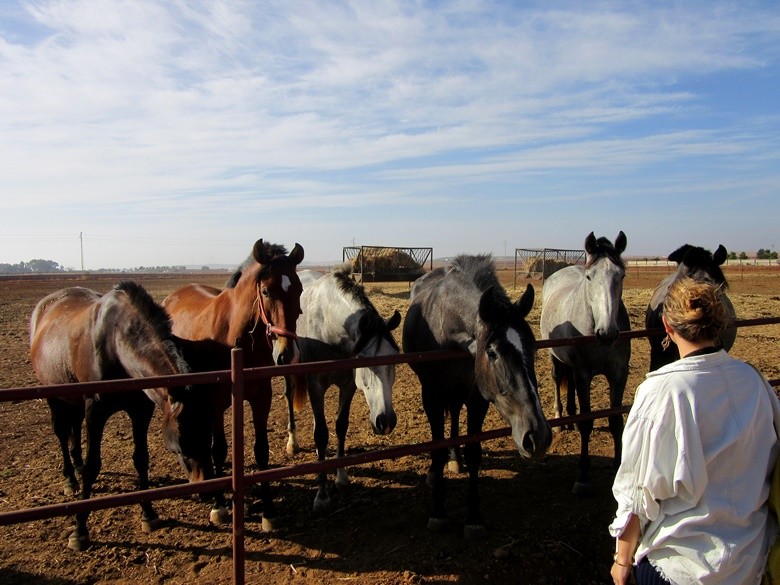 mejores lugares de Andalucía para hacer excursiones a caballo