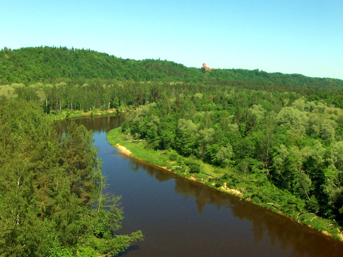 El intenso verde de los bosques de Sigulda