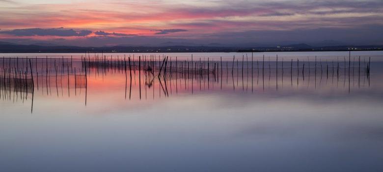 Albufera de Valencia que ver en Valencia