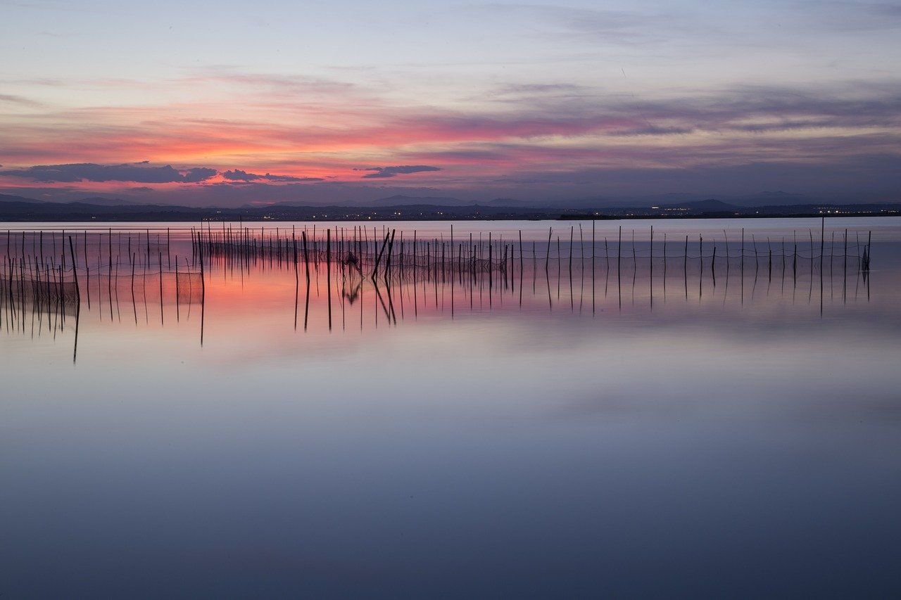 Cómo ir a la Albufera de Valencia