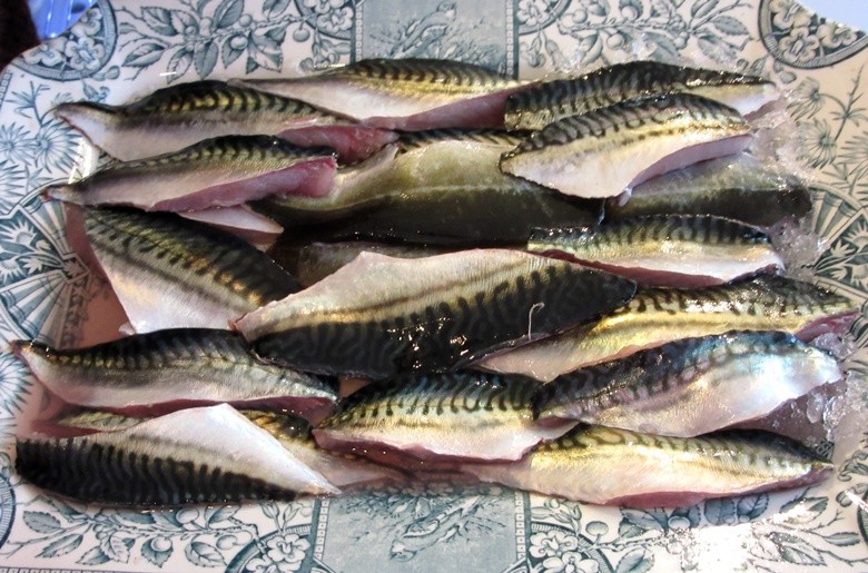 caballa irlanda