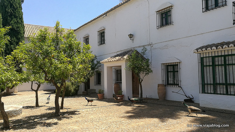 Bodega La Capuchina Málaga