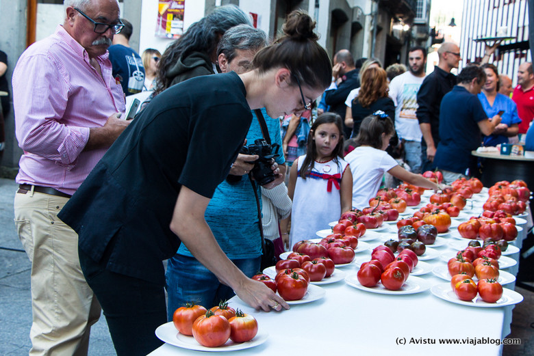 Exposición Tomates participantes Festival del Tomate de Huerta en Cangas del Narcea