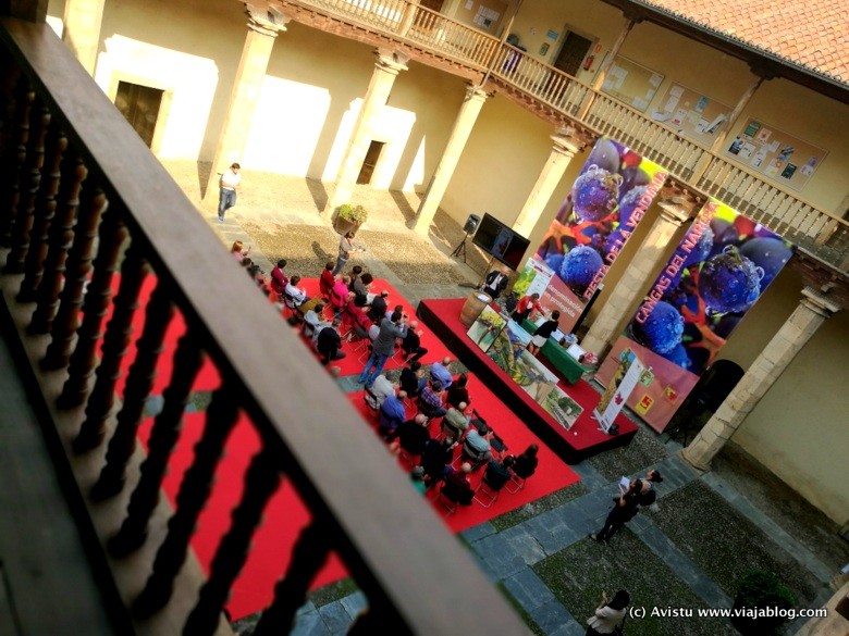 Festival Vendimia Cangas de Narcea, Asturias