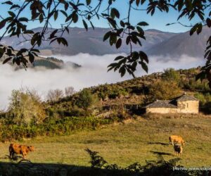 Ermita de Santa Marina, Oscos, Asturias