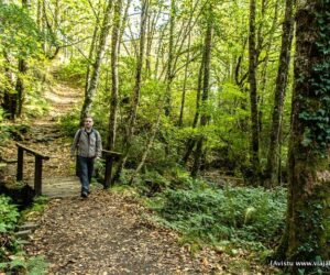 Ruta de la Seimeira, Santa Eulalia de Oscos, Asturias [(c)Foto: @avistu]