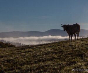 Compañía en la Ruta de Mon, Oscos Eo, Asturias
