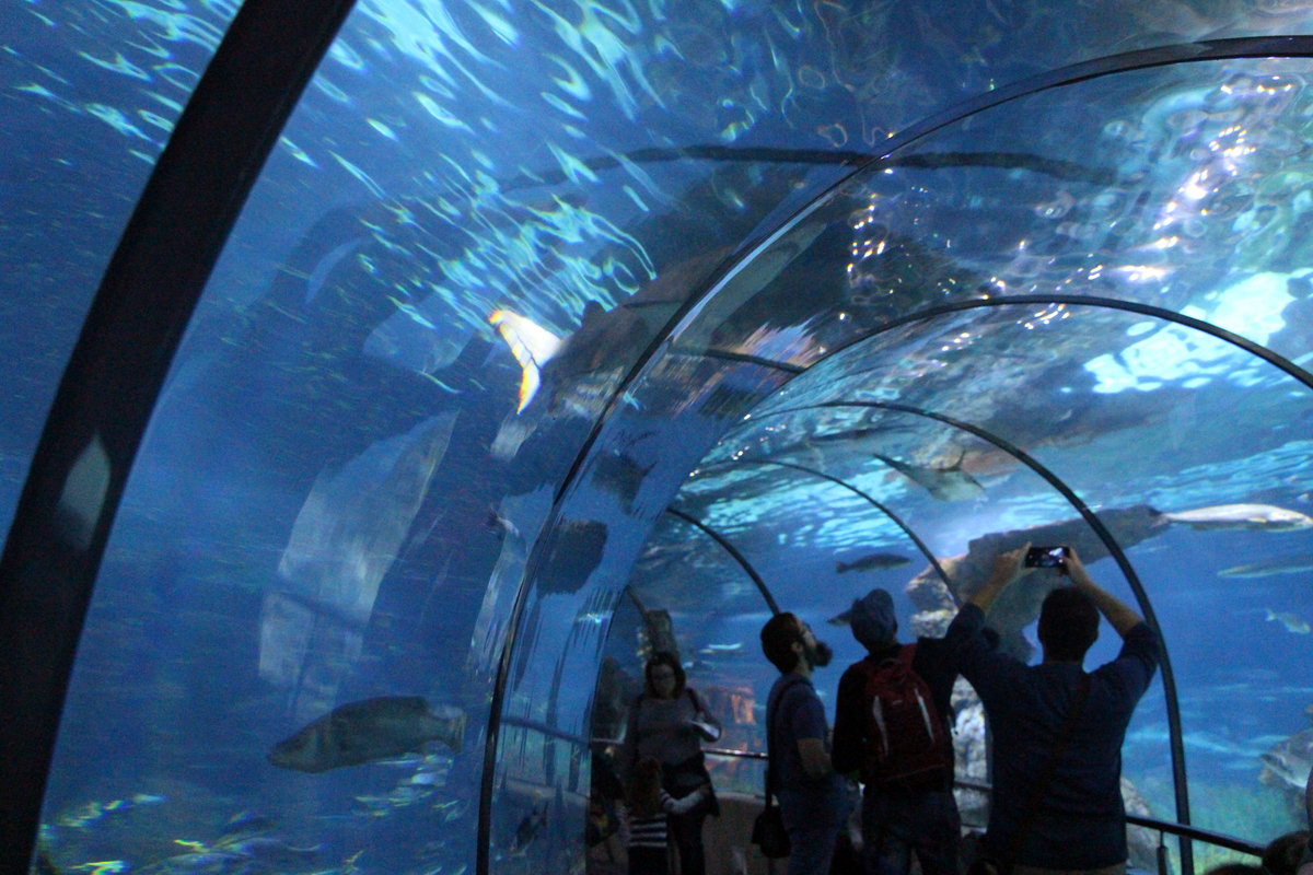 Tunel Aquárium Barcelona