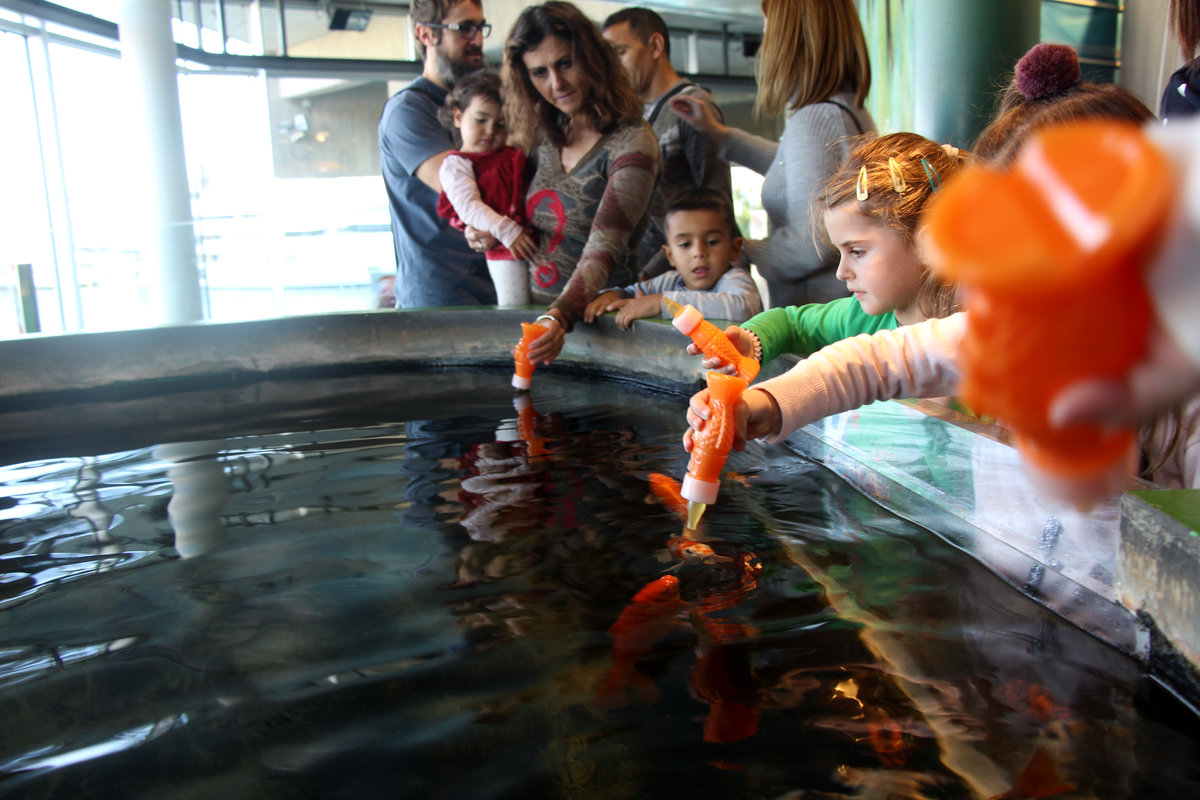 Actividades para niños en el Aquàrium