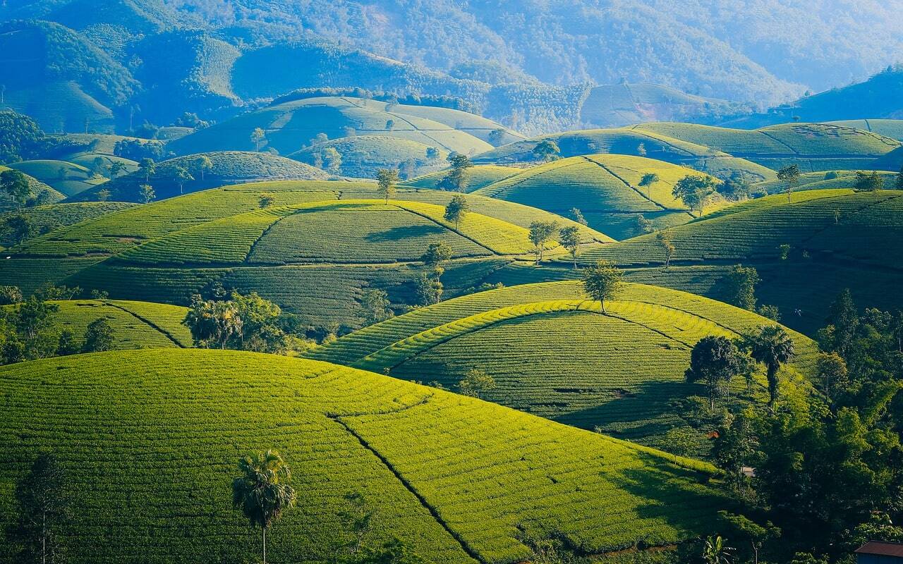 presupuesto para viajar a Vietnam