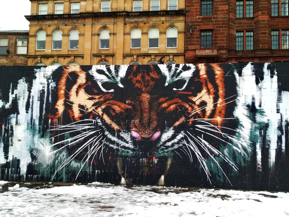 Glasgow murales
