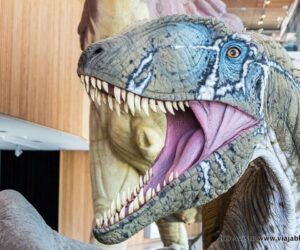 MUPA Cuenca [(c) Foto: @avistu]