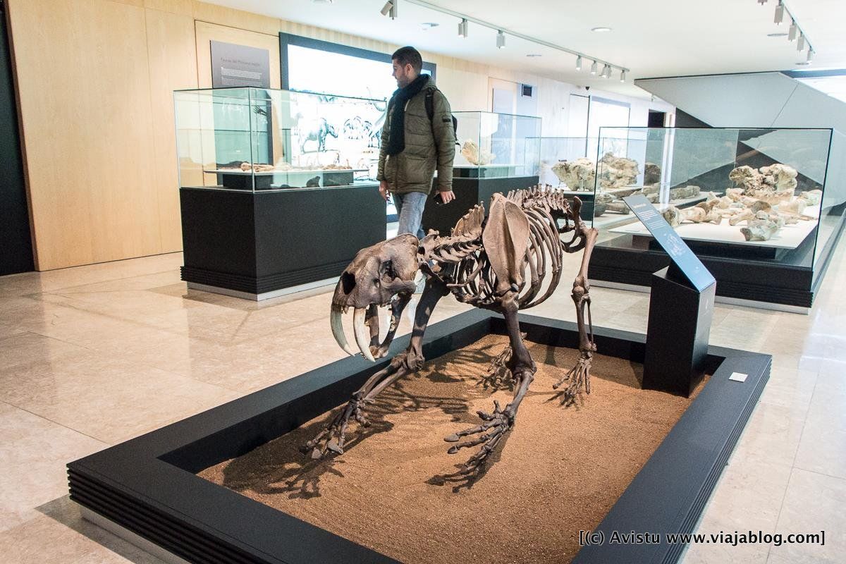 Museo de Paleontología (Cuenca)