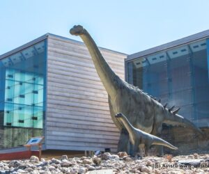 Museo de Paleontología (Cuenca)