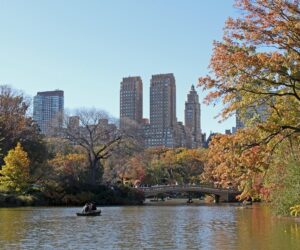 Central Park Nueva York