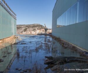 Museo de Paleontología de Castilla–La Mancha (Cuenca)