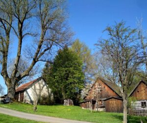Museo aire libre Rep Checa