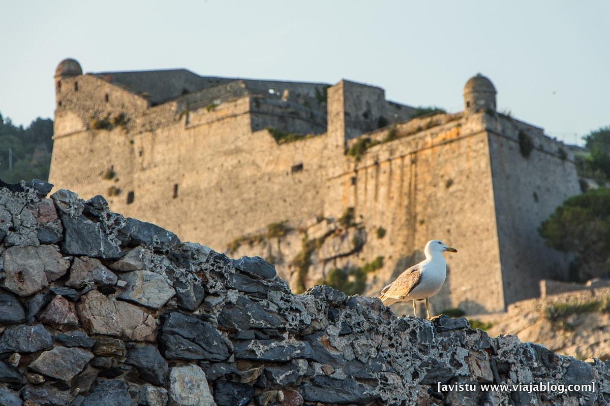 Portovenere Cinque Terre Italia-011-min