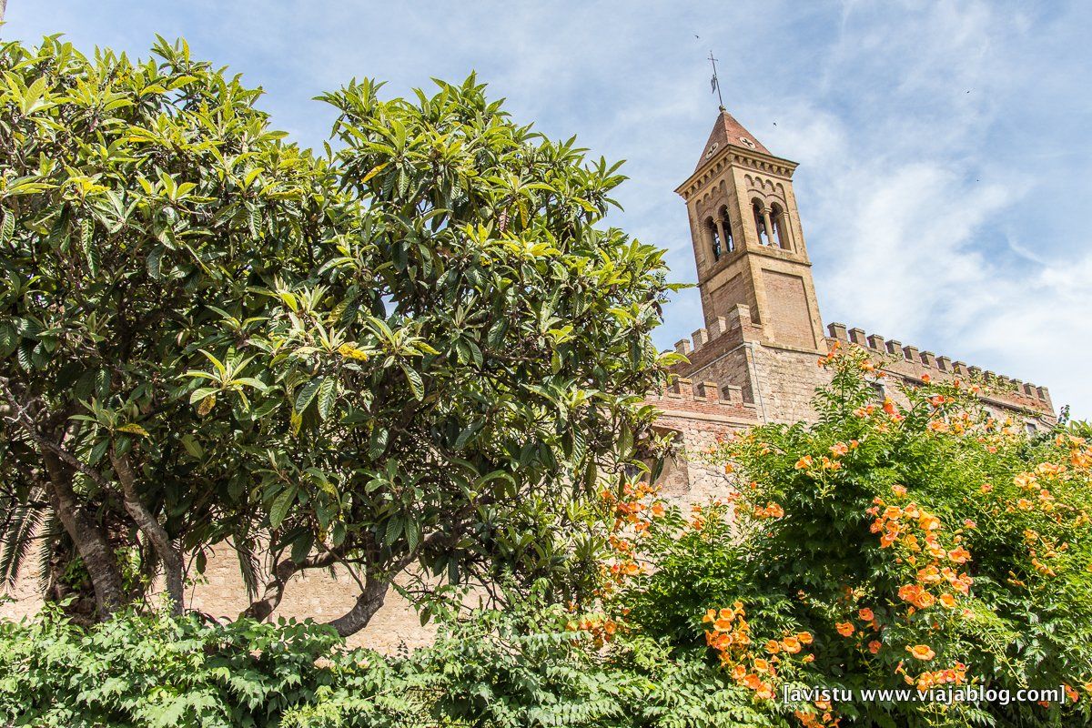 Bolgheri