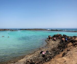 como ir a la isla de lobos desde corralejo