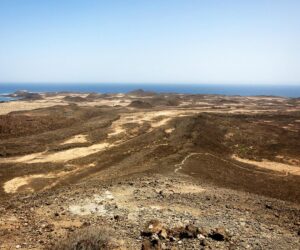 Excursión a la isla de Lobos desde Corralejo: qué ver y consejos