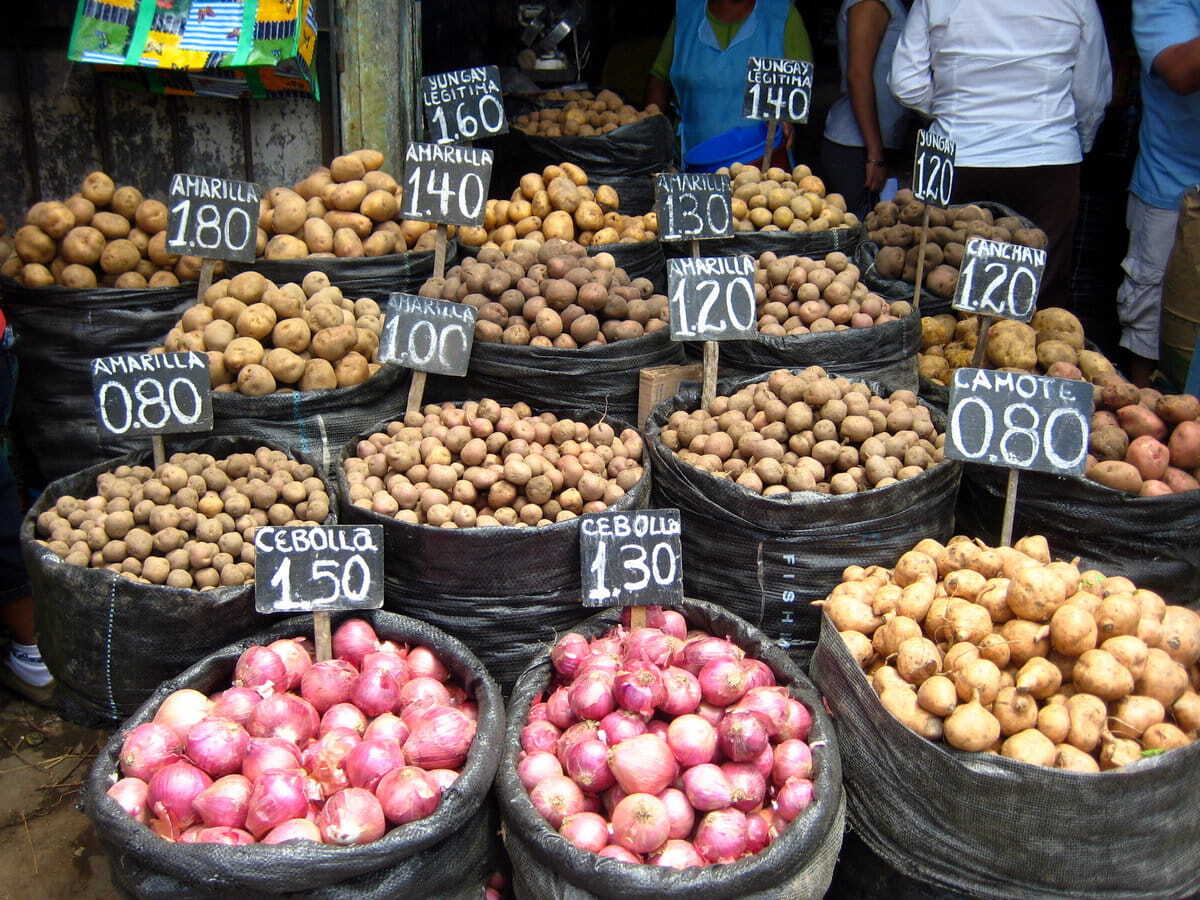 Variedad infinita de patatas en Perú