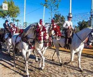 Un enganche y caballos en la Feria de Abril de Sevilla [(c)Foto: @avistu]