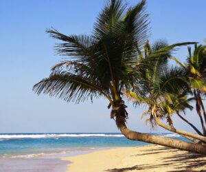 Punta Cana República Dominicana
