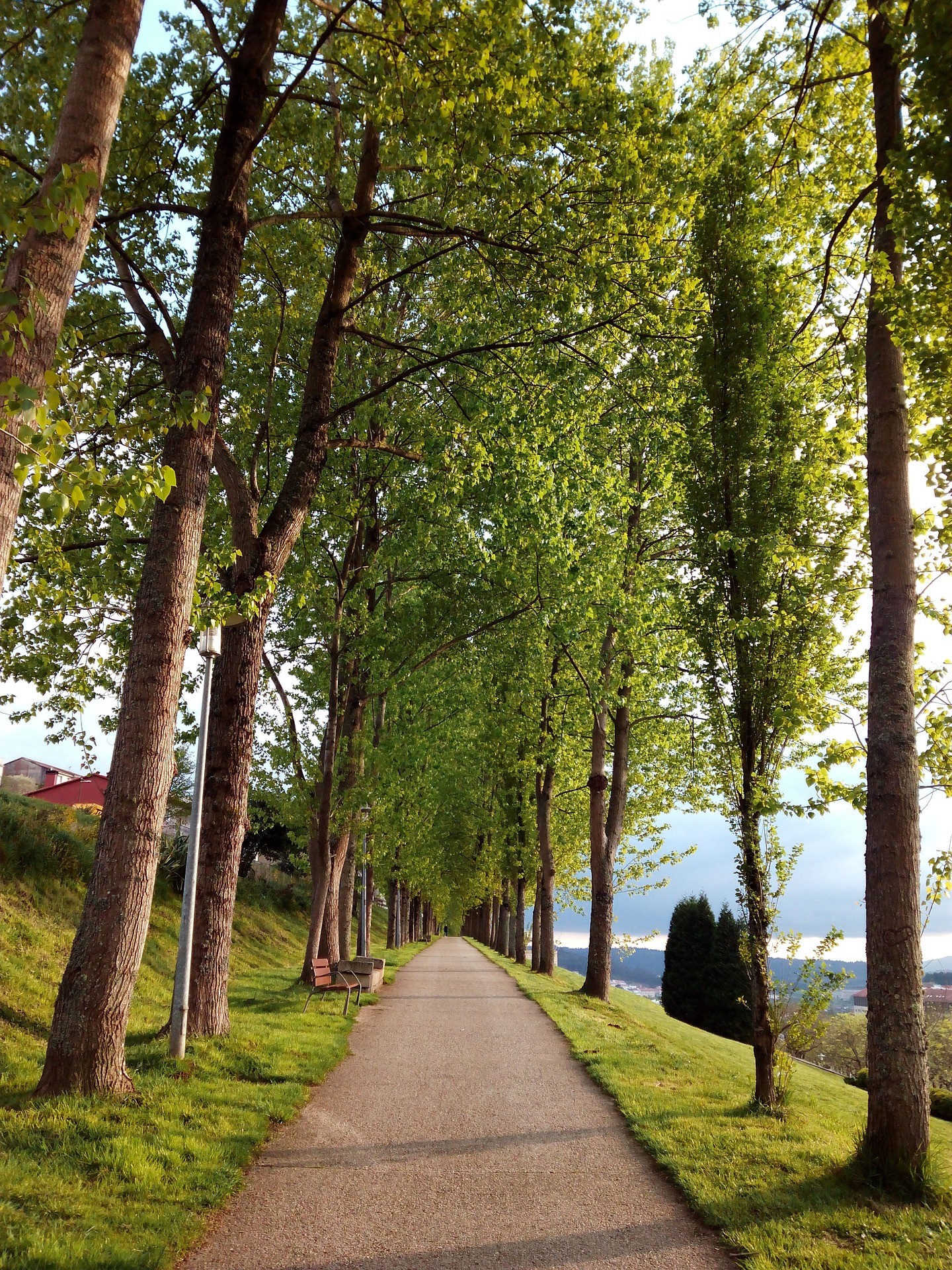 parque alameda Santiago de Compostela