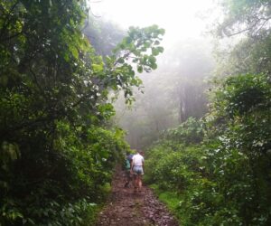 Subiendo al Monte Popa de Myanmar (el de verdad)