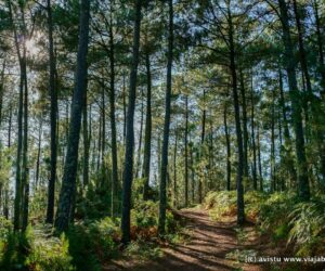 Montes, costa, islas y playas: cinco paradas en una ruta de Naturaleza por las Rías Baixas (vídeo)