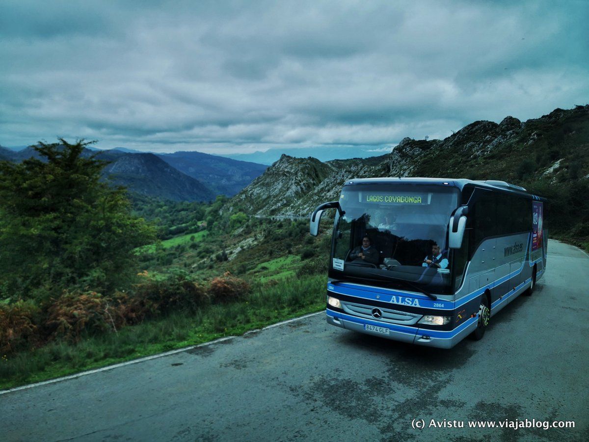 Autobús lanzadera a Covadonga y Lagos de Covadonga, Asturias [(c)Foto: @avistu]