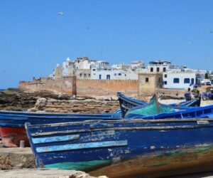 Barcas y gaviotas en Essaouira