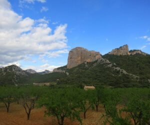 Qué ver en la provincia de Tarragona: guía completa con rutas y lugares imprescindibles