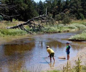 Dónde alojarse en la Cerdanya francesa: mejores zonas y bases