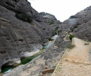 Parajes naturales de Tarragona: los mejores rincones de naturaleza