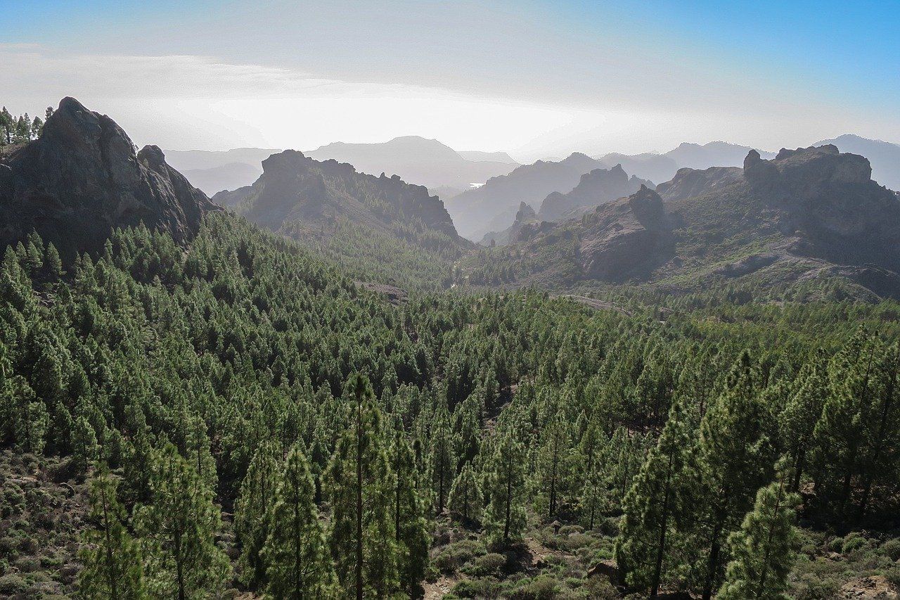 ruta coche gran canaria