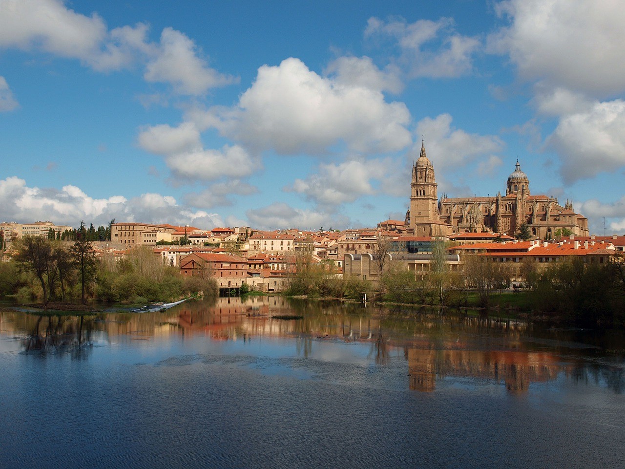 programa Feria de Salamanca