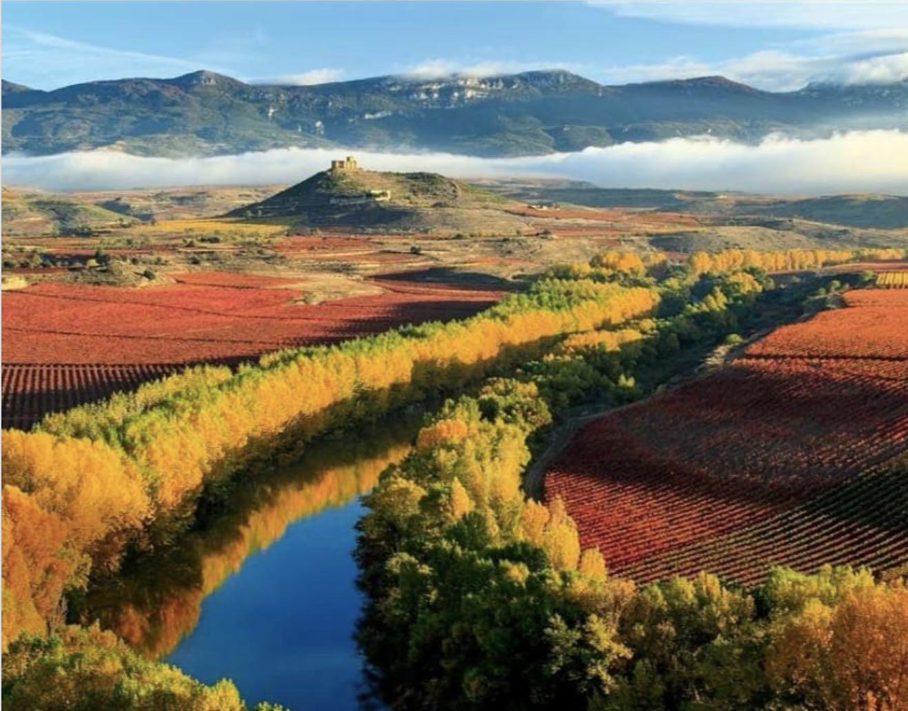 Viñedos en San Asensio en La Rioja