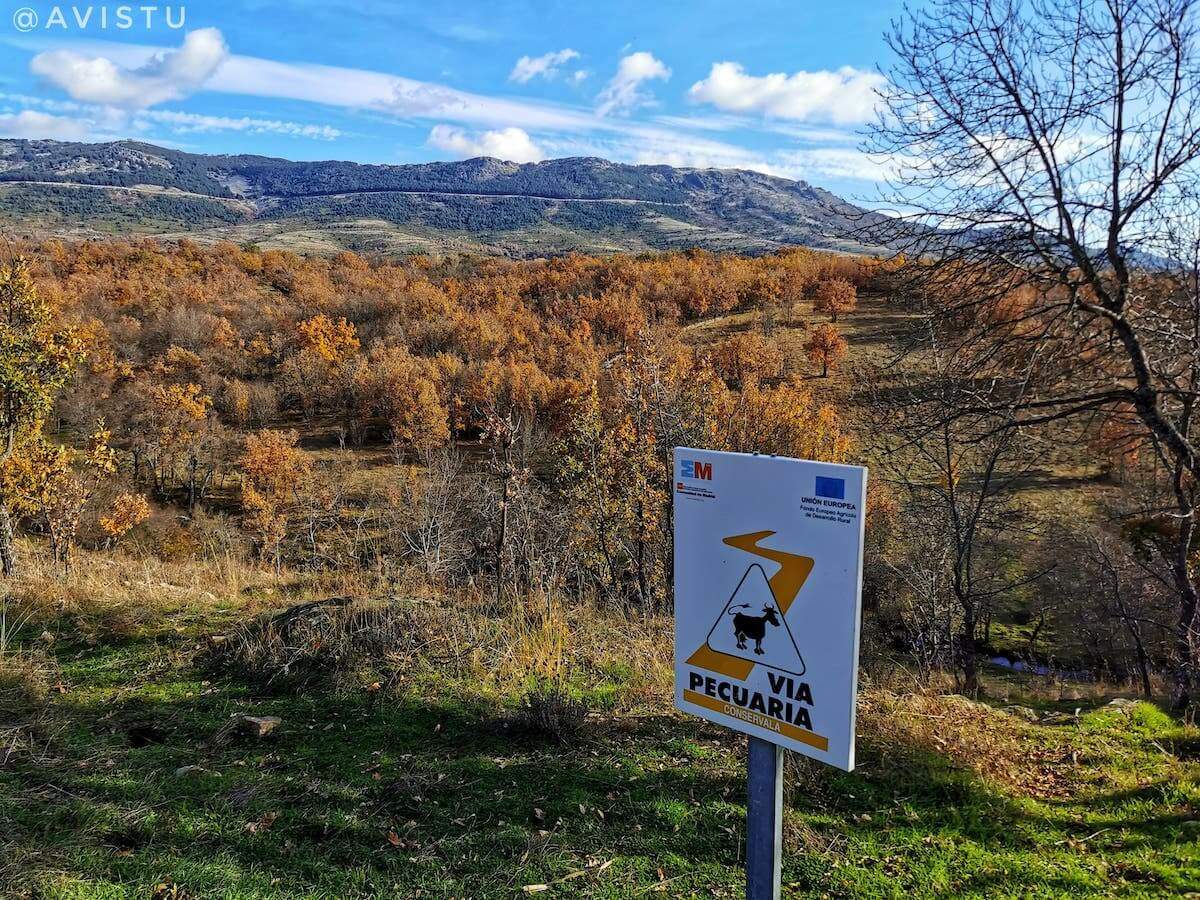 Senderismo Madrid Prádena del Rincón