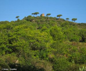 La ermita de Sant Onofre