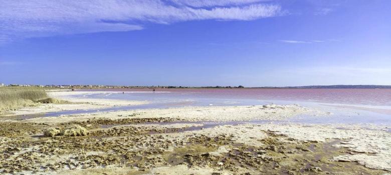 salinas de Torrevieja