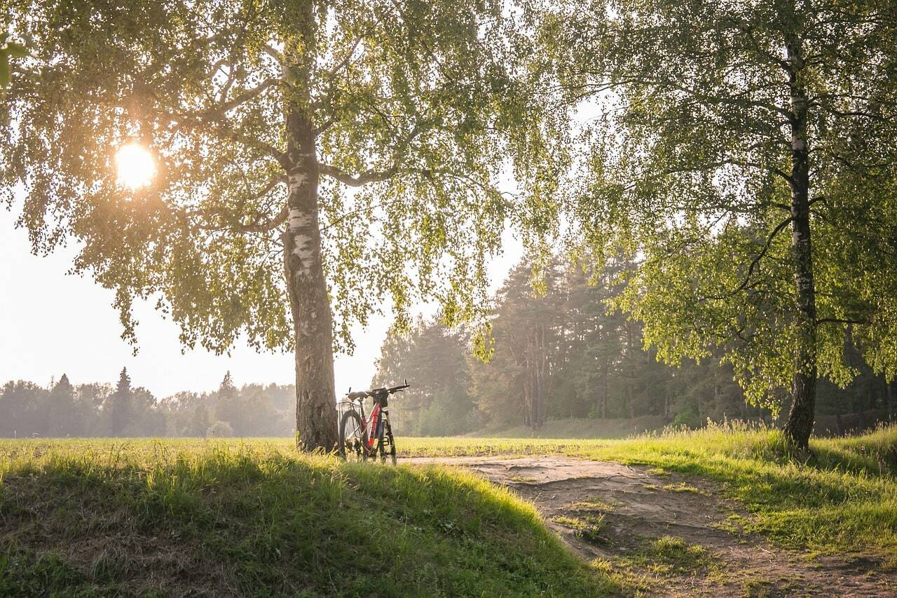 camino de santiago en bicicleta