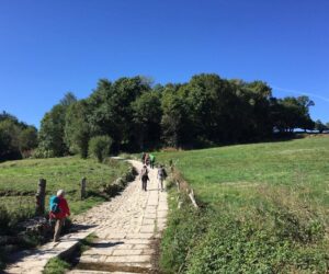 12 consejos para hacer el Camino de Santiago a pie