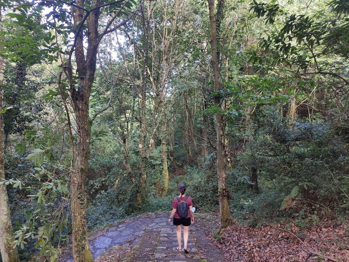 ruta de los miradores asturias