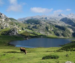 Lagos de Covadonga Asturias