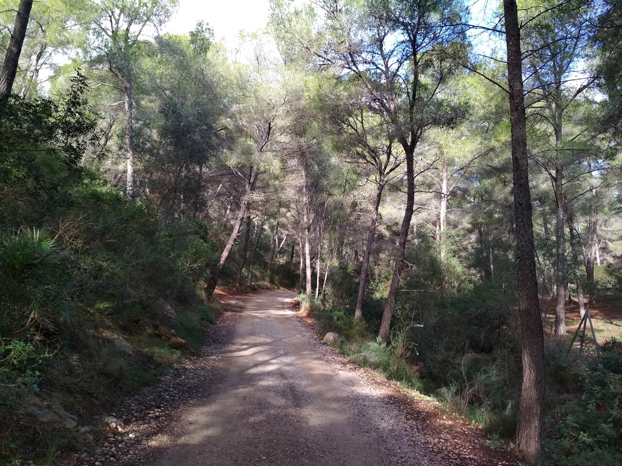 Ruta de Sant Elm a Torre de Can en Basset