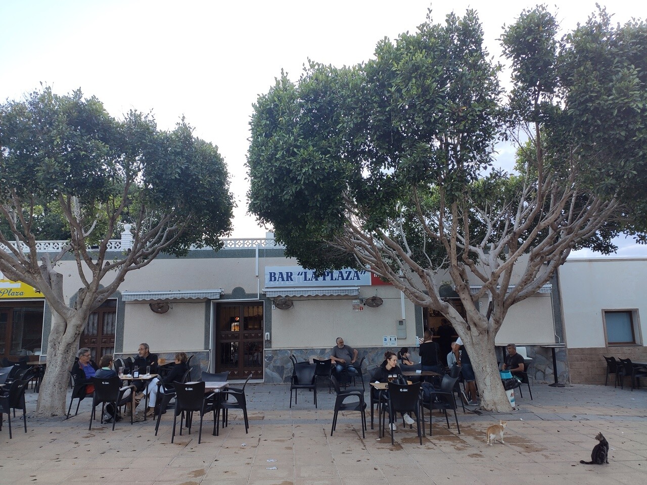 mejores restaurantes donde comer en Cabo de Gata