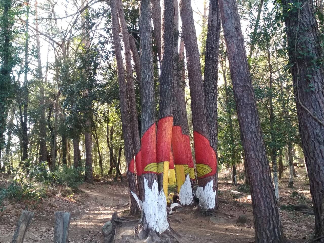 bosque pintado de poblet