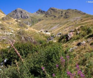 Viajar a los Alpes franceses: La Grave, Alpe d’Huez y alrededores